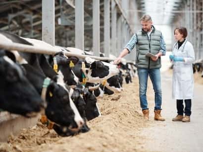 打造可持续的体育资讯生态 - 鲸鱼体育