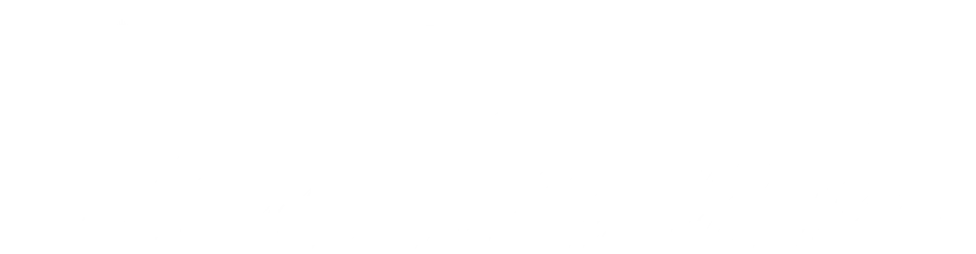 服务 - 鲸鱼体育